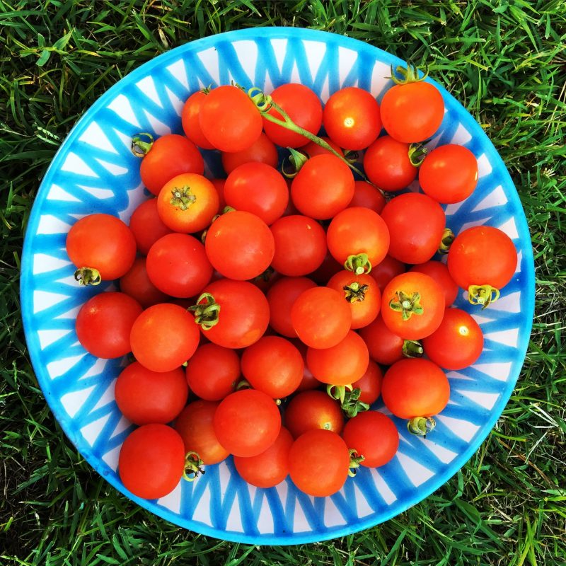 Tomatoes